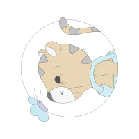 Illustration Animals
