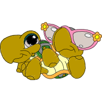 Illustration Animals
