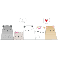 Illustration Animals Illustration Animals