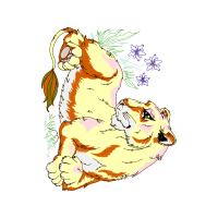 Illustration Animals