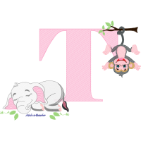 Indian Elephant Animals