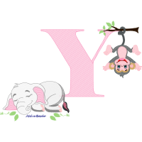 Indian Elephant Animals