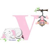 Indian Elephant Animals