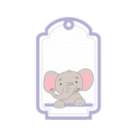 Indian Elephant Animals