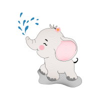 Indian Elephant Animals