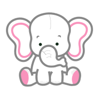 Indian Elephant Animals