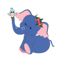 Indian Elephant Animals