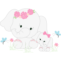 Indian Elephant Animals