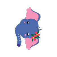 Indian Elephant Animals