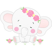 Indian Elephant Animals