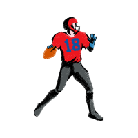 Kick American Football Animals