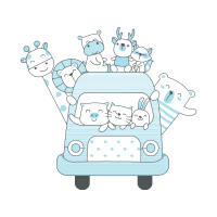 Lion Animals Lion Animals