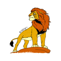 Lion Animals Lion Animals