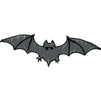 Little Brown Bat Animals