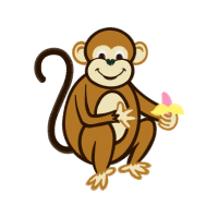 Macaques Animals Macaques Animals