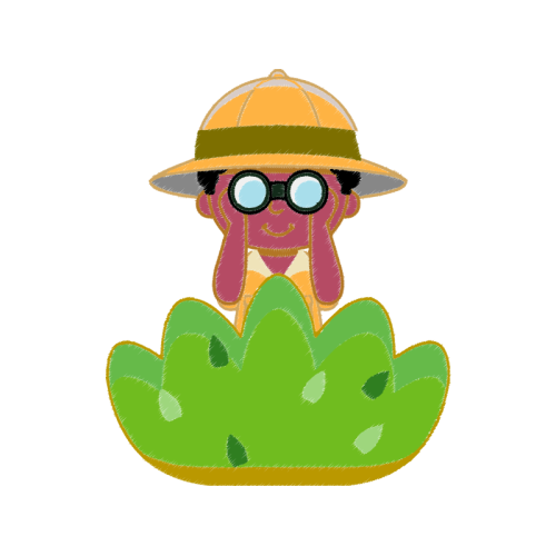 Macaques Animals Macaques Animals