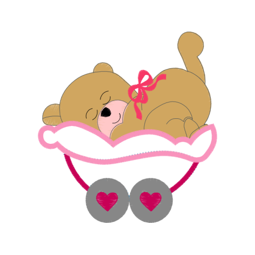 Marsupials Animals Marsupials Animals