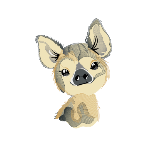 Marsupials Animals Marsupials Animals