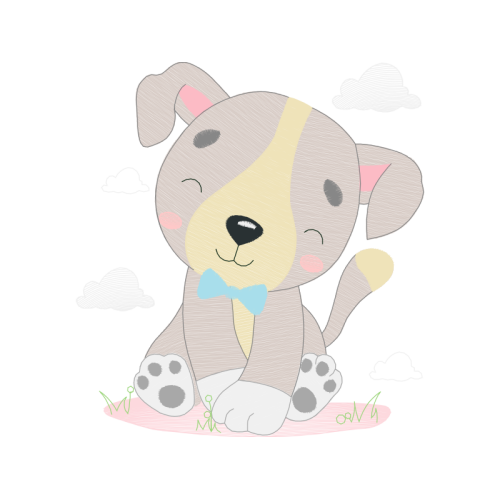 Marsupials Animals Marsupials Animals