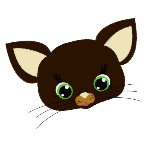 Marsupials Animals Marsupials Animals