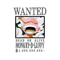 Monkey D Luffy Animals Monkey D Luffy Animals