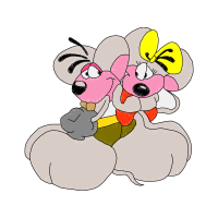 Moth Orchids Animals