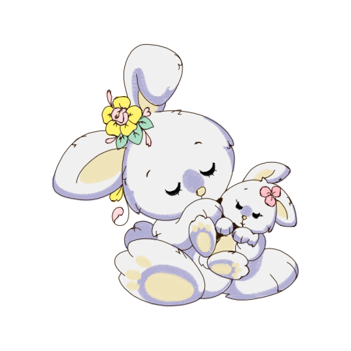 Moth Orchids Animals Moth Orchids Animals