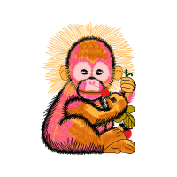 New World Monkeys Animals