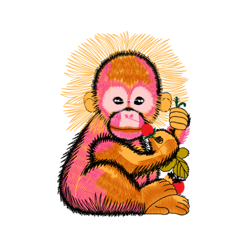 New World Monkeys Animals New World Monkeys Animals