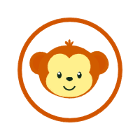 New World Monkeys Animals