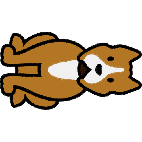 Norfolk Terrier Animals Norfolk Terrier Animals