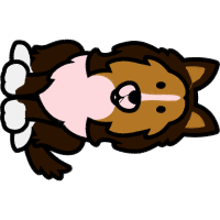 Norfolk Terrier Animals