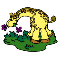 Northern Giraffe Animals