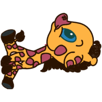 Norwich Terrier Animals Norwich Terrier Animals