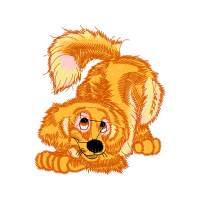 Nova Scotia Duck Tolling Retriever Animals Nova Scotia Duck Tolling Retriever Animals