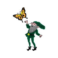 Old World Swallowtail Animals Old World Swallowtail Animals