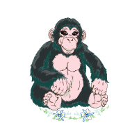 Orangutans Animals Orangutans Animals