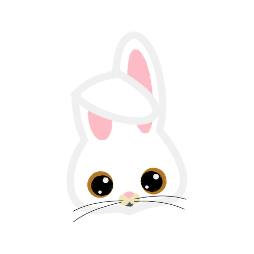 Owl Animals Owl Animals