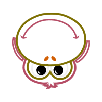 Owl Animals Owl Animals