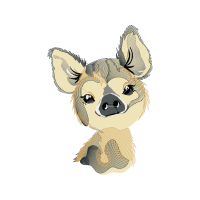 Pembroke Welsh Corgi Animals