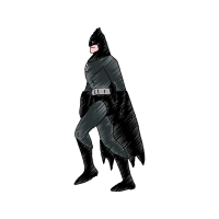 Peregrine Falcon Animals Peregrine Falcon Animals