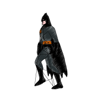 Peregrine Falcon Animals Peregrine Falcon Animals