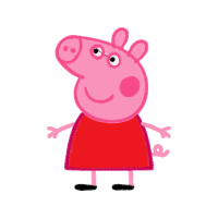 Photograph Animals Photograph Animals