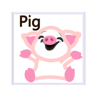 Pig Animals