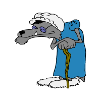 Poodle Animals Poodle Animals