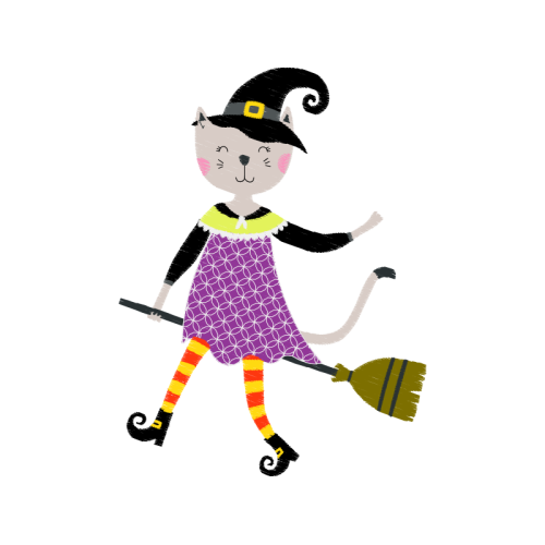 Primary School Animals Primary School Animals