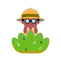 Proboscis Monkey Animals