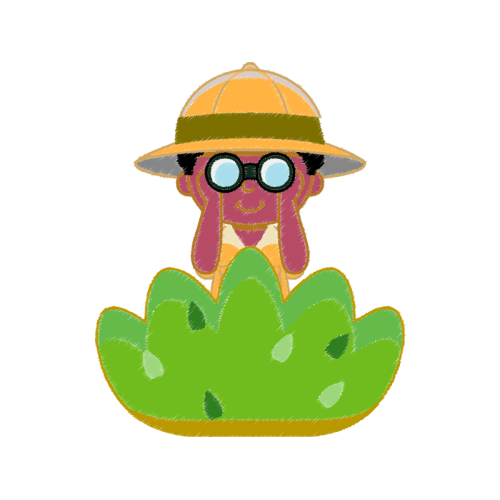 Proboscis Monkey Animals Proboscis Monkey Animals