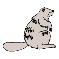 Punxsutawney Animals