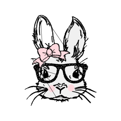 Rabbit Animals Rabbit Animals